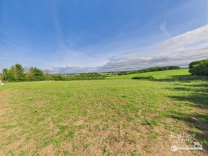 Paddock- click for photo gallery